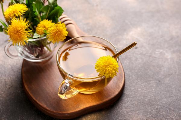 Las mejores infusiones para el hígado graso - Diente de león (Taraxacum officinale)