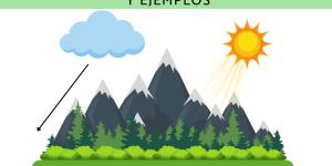 Microclima: qué es, cómo se forma y ejemplos
