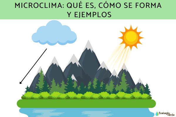 Microclima: qué es, cómo se forma y ejemplos
