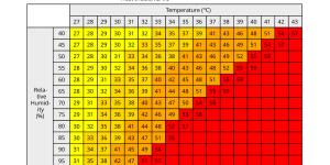 Sensación térmica: qué es, diferencia con los grados, cómo calcularla y factores