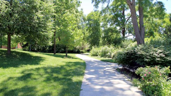 Soluciones basadas en la naturaleza: qué son, en qué consisten y ejemplos de SbN - Tipos y ejemplos de soluciones basadas en la naturaleza