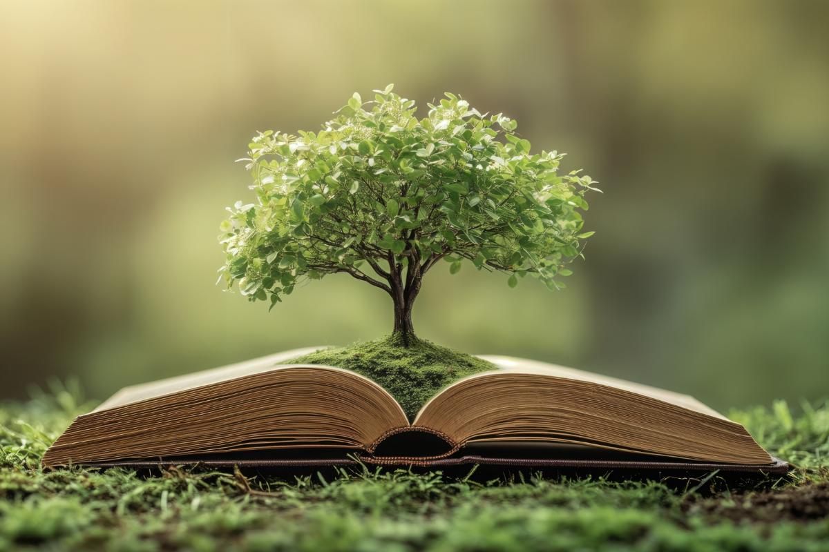 Libros sobre ecología que te ayudarán a ser más eco-friendly