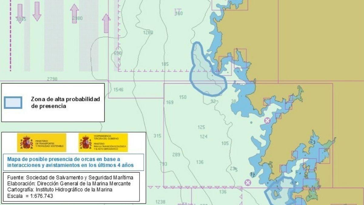 Cambio de rumbo inesperado: las orcas abandonan el Estrecho de Gibraltar y ponen en alerta a Galicia
