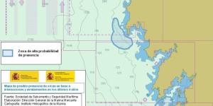 Cambio de rumbo inesperado: las orcas abandonan el Estrecho de Gibraltar y ponen en alerta a Galicia