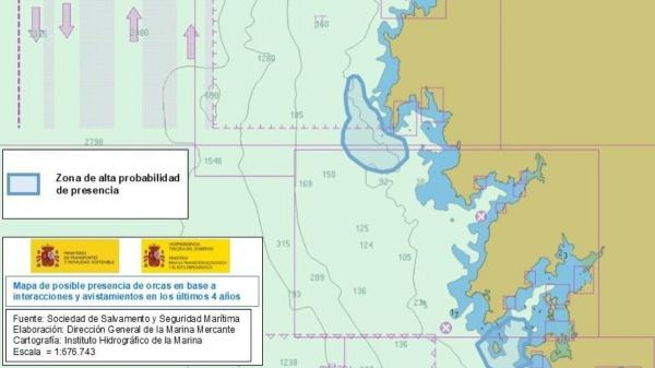Cambio de rumbo inesperado: las orcas abandonan el Estrecho de Gibraltar y ponen en alerta a Galicia