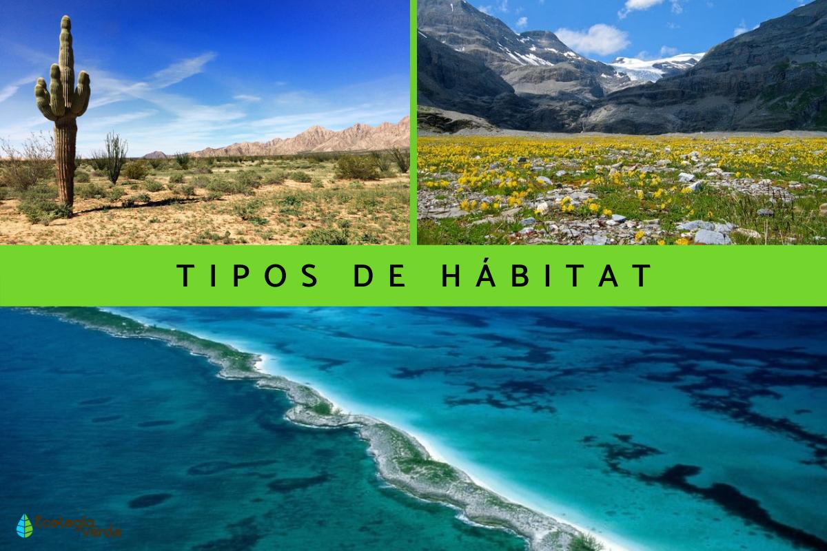 Tipos de hábitat