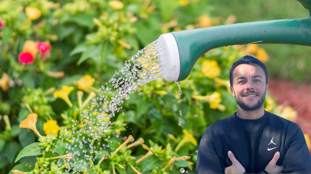 Joan Calderón, jardinero: “Si riegas o tocas las plantas por la noche, las molestas igual que si te molestaran a ti, ya que a esas horas descansan”