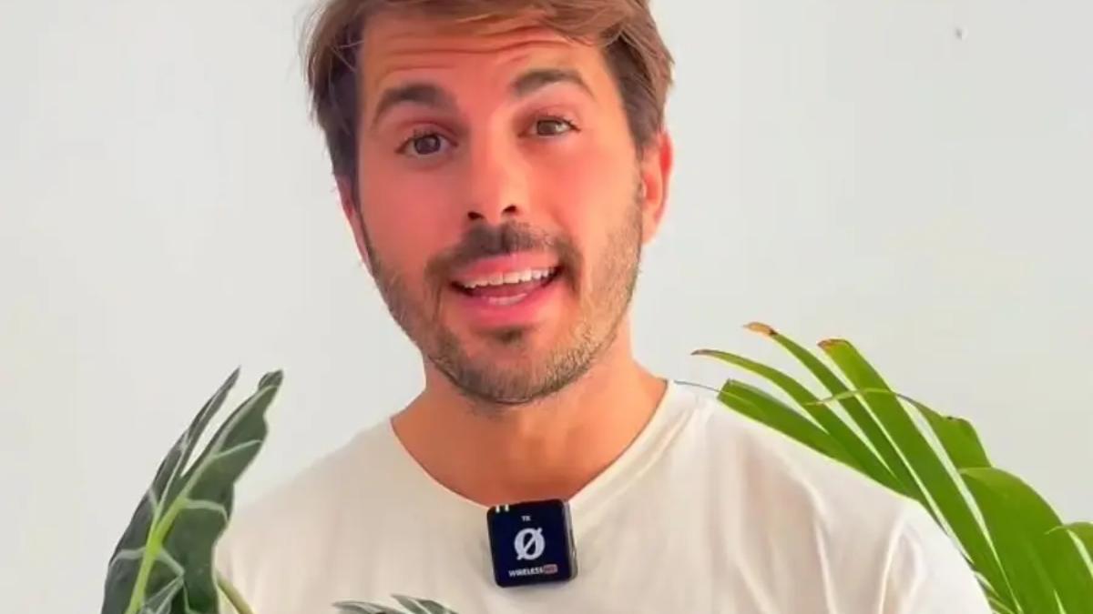 Álvaro Pedrera, experto en jardinería: “Si las hojas de tus plantas tienen las puntas marrones y secas, no es un problema de riego, sino de humedad ambiental”