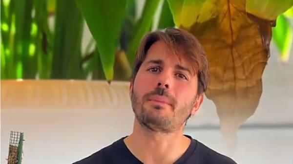 Álvaro Pedrera, experto en jardinería: “Si las hojas de tus plantas tienen las puntas marrones y secas, no es un problema de riego, sino de humedad ambiental” - Las puntas marrones pueden aparecer aunque la planta reciba suficiente agua