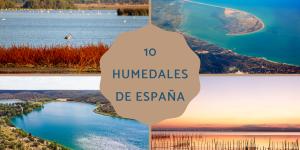 Humedales de España: mapa, nombres, animales y su importancia