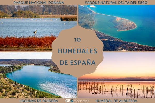 Humedales de España: mapa, nombres, animales y su importancia