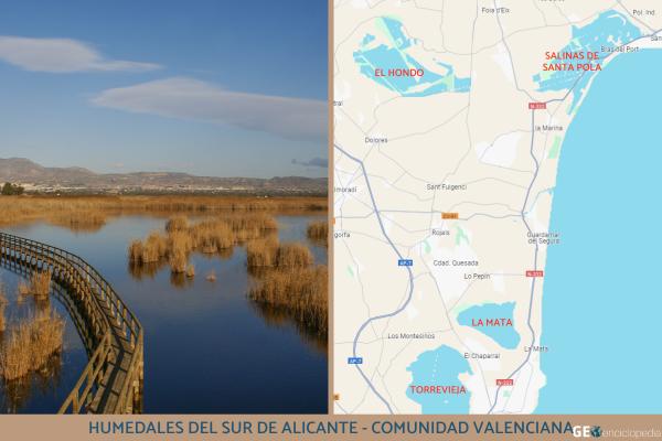 Humedales de España: mapa, nombres, animales y su importancia - Humedales del sur de Alicante