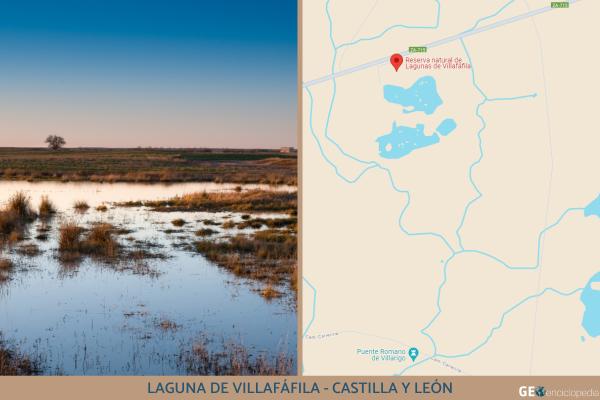 Humedales de España: mapa, nombres, animales y su importancia - Laguna de Villafáfila