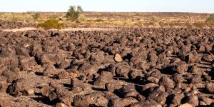 Desiertos pedregosos: qué son, otros nombres, formación y ejemplos