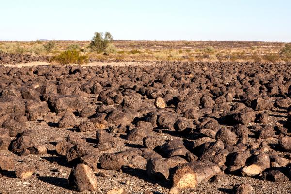 Desiertos pedregosos: qué son, otros nombres, formación y ejemplos