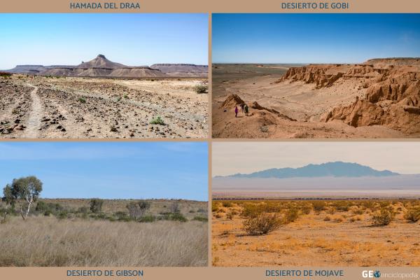 Desiertos pedregosos: qué son, otros nombres, formación y ejemplos - Ejemplos de desiertos pedregosos