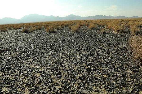 Desiertos pedregosos: qué son, otros nombres, formación y ejemplos - Qué son los desiertos pedregosos y qué otros nombres tienen