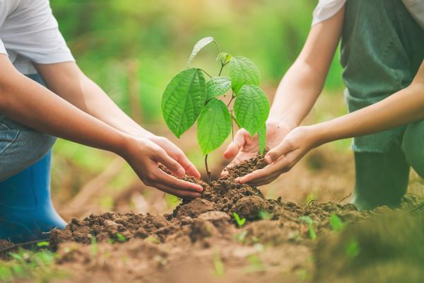 Edafogénesis: qué es, etapas y factores de formación del suelo - ¿Cuál es la importancia de la edafogénesis?