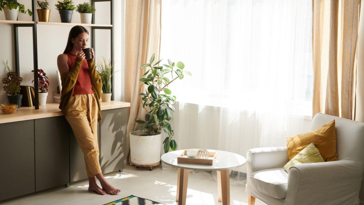 la tendencia que lleva la naturaleza a tu casa y la convierte en un oasis de calma