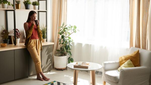 Biointeriorismo: la tendencia que lleva la naturaleza a tu casa y la convierte en un oasis de calma
