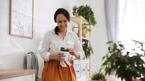 Biointeriorismo: la tendencia que lleva la naturaleza a tu casa y la convierte en un oasis de calma - Cómo transformar tu casa con pequeños cambios inspirados en la naturaleza