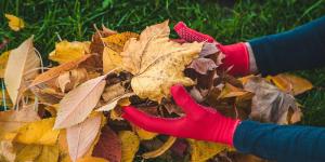 No todas las hojas caídas son basura: así puedes aprovecharlas para proteger y mejorar tu jardín