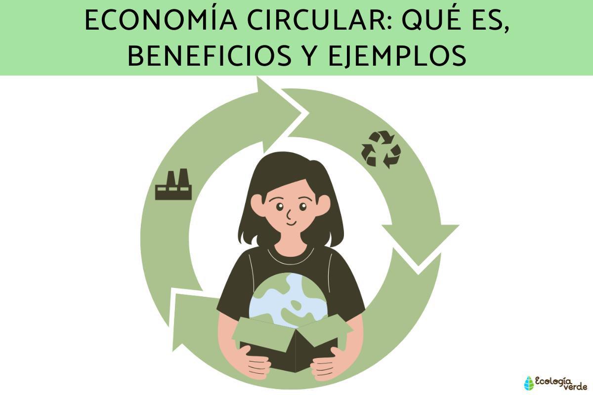 Economía circular: qué es, beneficios y ejemplos