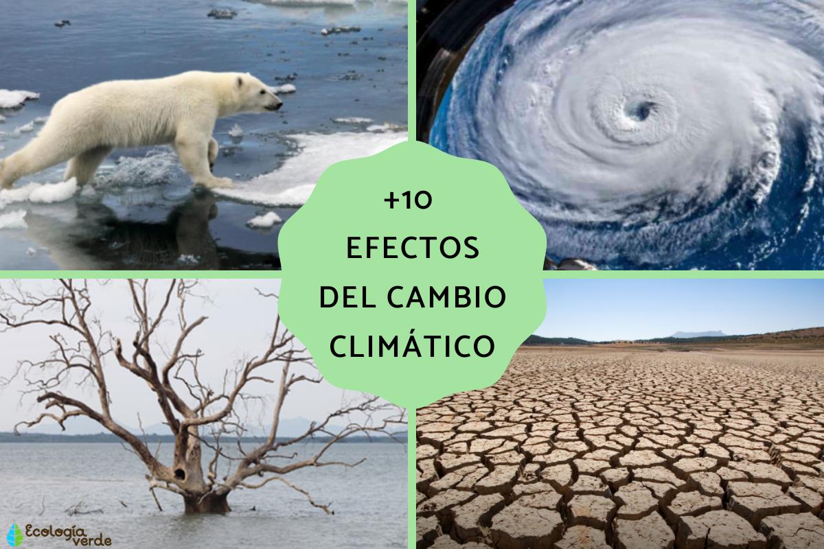Efectos del cambio climático