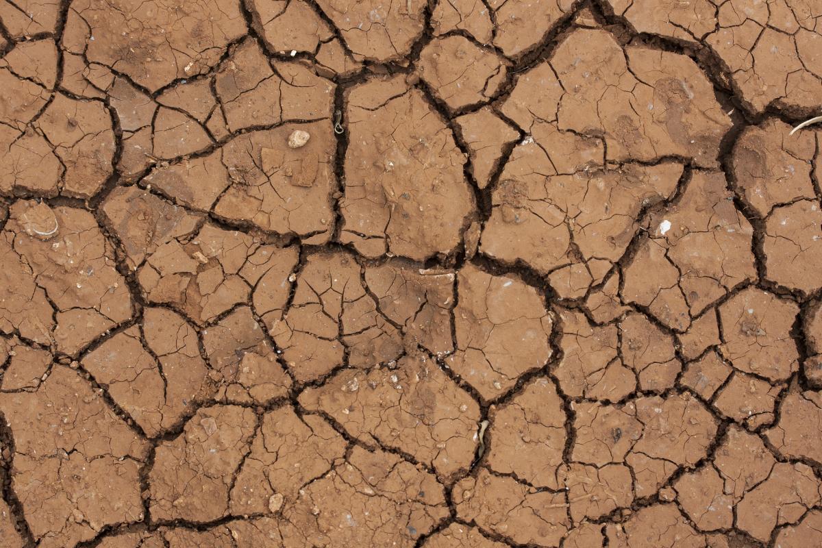 Qué es la sequía, sus causas y consecuencias