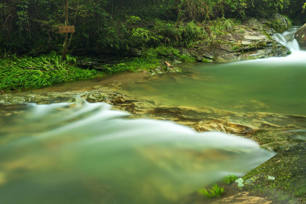 Recursos hídricos: qué son, ejemplos e importancia