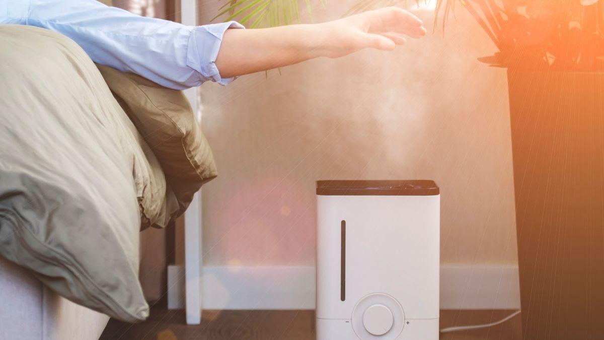 Adiós a la humedad: 7 trucos infalibles para eliminarla de tu habitación y evitar el mal olor