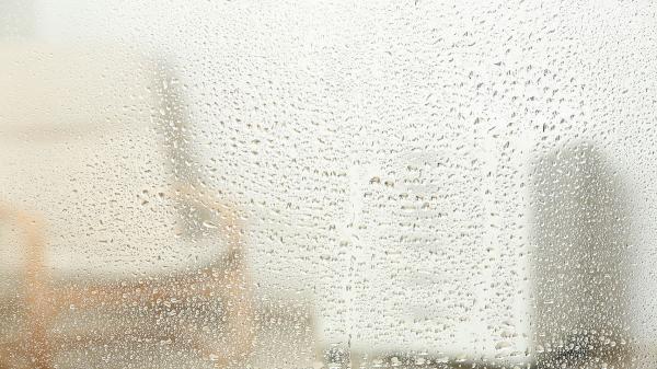 Adiós a la humedad: 7 trucos infalibles para eliminarla de tu habitación y evitar el mal olor - Señales claras de que tu habitación tiene un problema de humedad