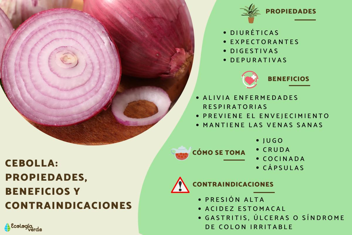 Cebolla: propiedades, beneficios y contraindicaciones