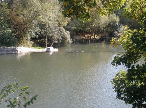 Río Arga - Características de río Arga