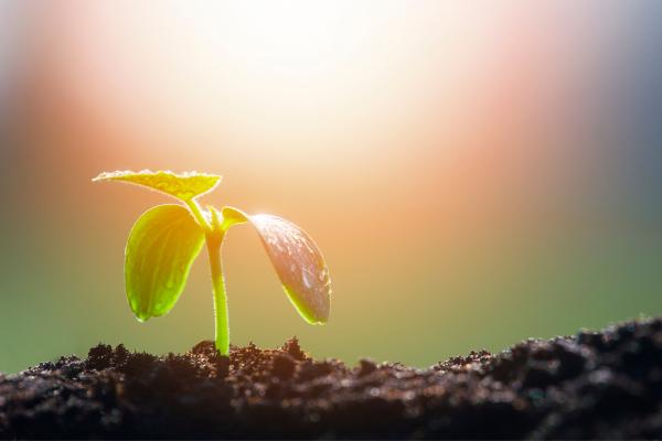 Tipos de energía y ejemplos - 1. Energía electromagnética o radiante