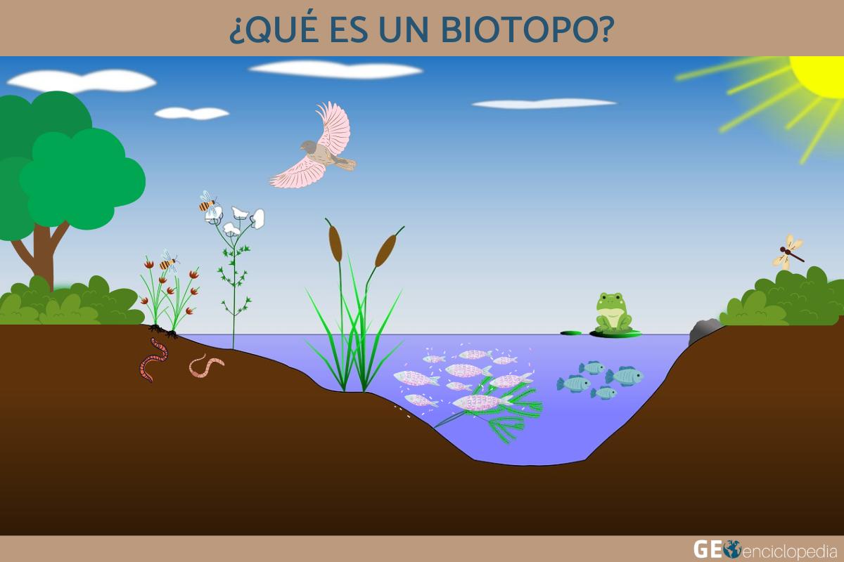 Qué es un biotopo
