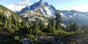 Clima de montaña: qué es, características, tipos, flora y fauna