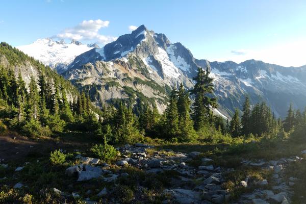 Clima de montaña: qué es, características, tipos, flora y fauna
