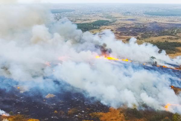 Incendios de sexta generación o megaincendios: qué son, características y por qué son tan peligrosos - ¿Qué características tienen los incendios de sexta generación?