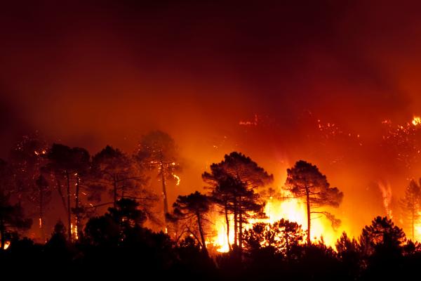 Incendios de sexta generación o megaincendios: qué son, características y por qué son tan peligrosos - ¿Qué son los incendios de sexta generación o megaincendios?
