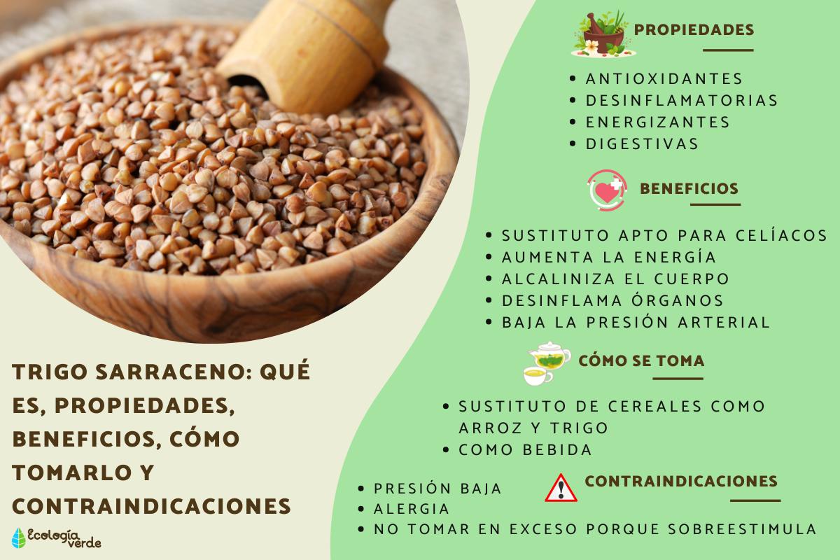 Trigo sarraceno: qué es, propiedades, beneficios, cómo tomarlo y contraindicaciones