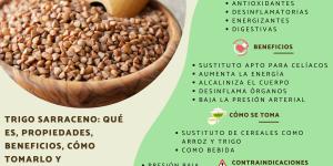 Trigo sarraceno: qué es, propiedades, beneficios, cómo tomarlo y contraindicaciones