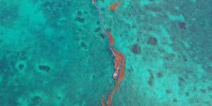 Qué es la franja marrón aparecida entre el océano Atlántico y África: esto es lo que dicen los científicos