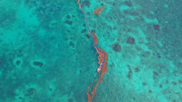 Qué es la franja marrón aparecida entre el océano Atlántico y África: esto es lo que dicen los científicos