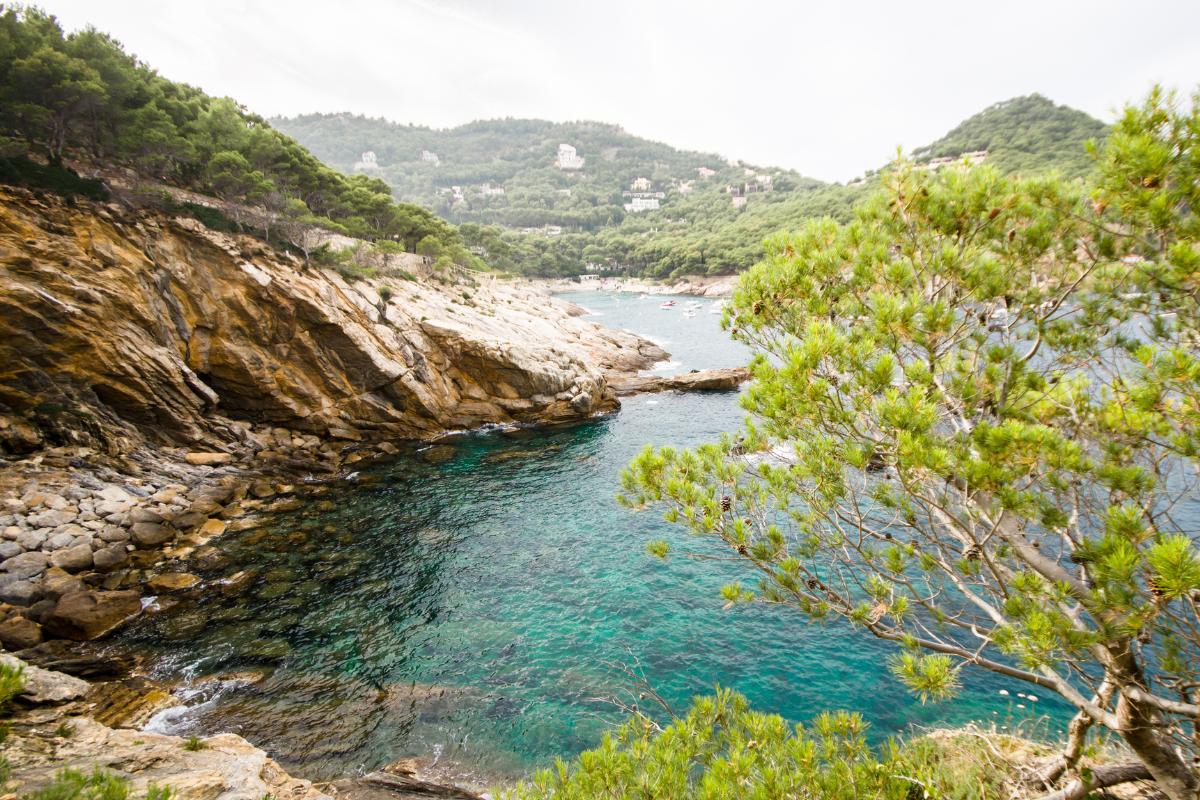 Litorales: qué son, tipos, ecosistema y ejemplos