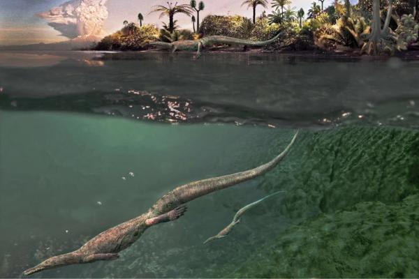 Reptiles acuáticos: características, respiración y ejemplos actuales y prehistóricos - 