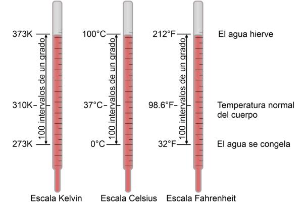 Qué es la temperatura, escalas, cómo se mide y tipos - Escalas de temperatura