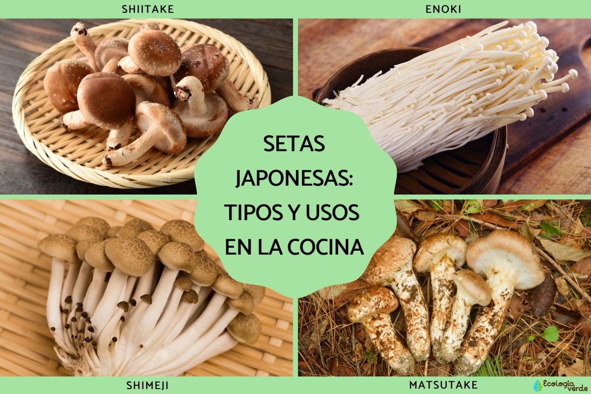 Setas japonesas: tipos y usos en la cocina
