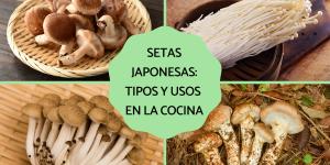 Setas japonesas: tipos y usos en la cocina