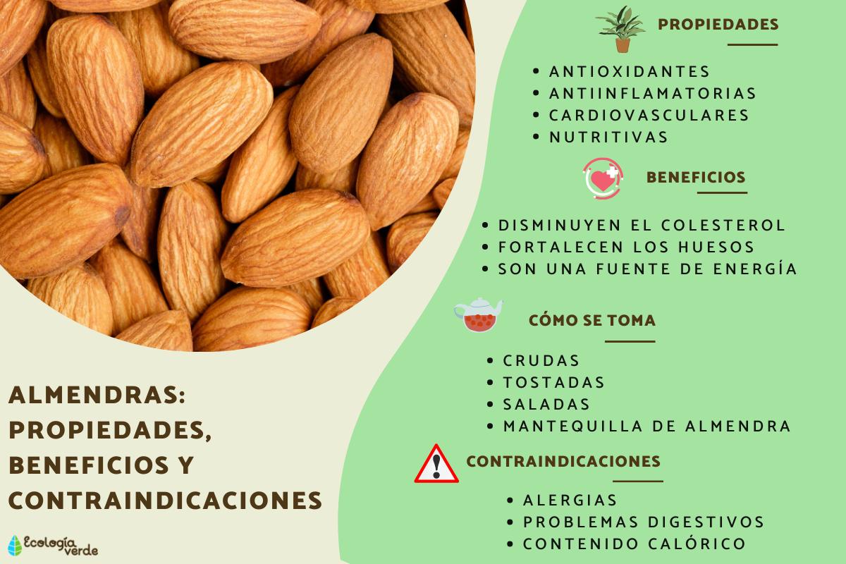 Almendras: propiedades, beneficios y contraindicaciones